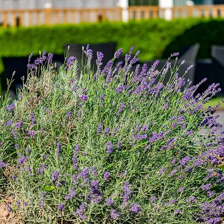 Logis Le Menobu Otel Theux